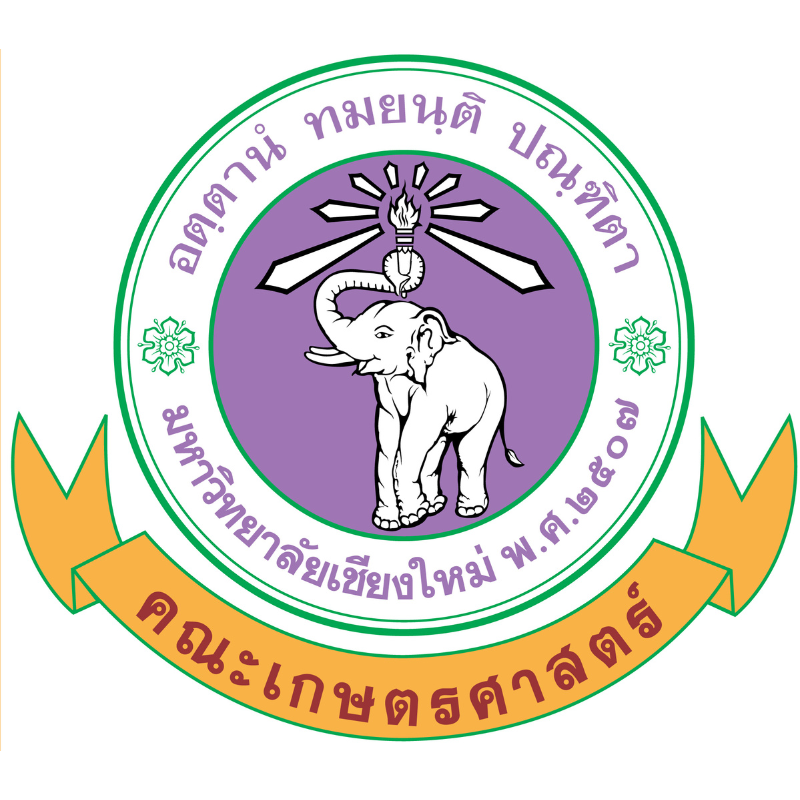 ชื่อลูกค้า 3